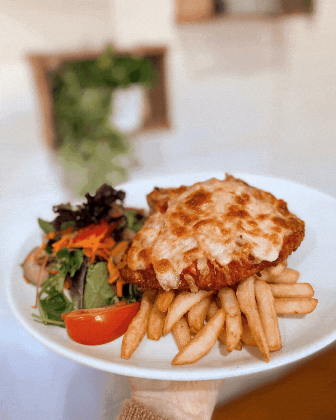 A golden chicken schnitzel with chips and salad on a plate being held up with a rustic country wall behind it.
